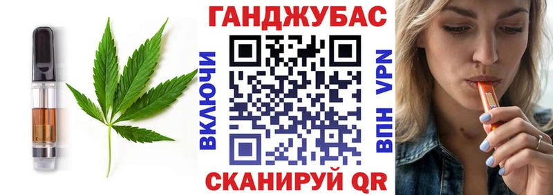 ОМГ ОМГ ONION  магазин продажи наркотиков  Сунжа  маркетплейс телеграм  Canna-Cookies конопля 