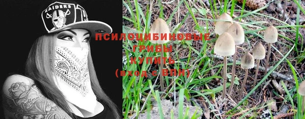герыч Алексеевка