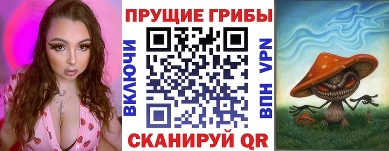Псилоцибиновые грибы Psilocybine cubensis купить наркотики цена omg маркетплейс Сунжа